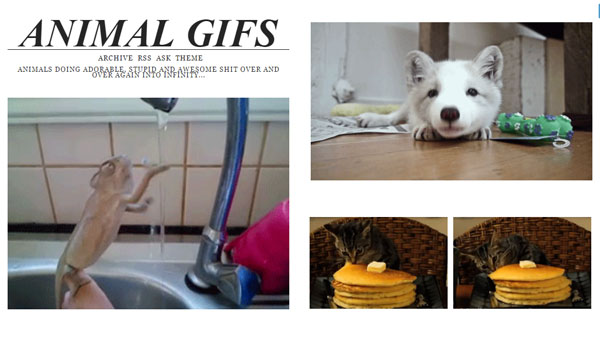 10-Websites-to-Find-the-Perfect-GIF_8